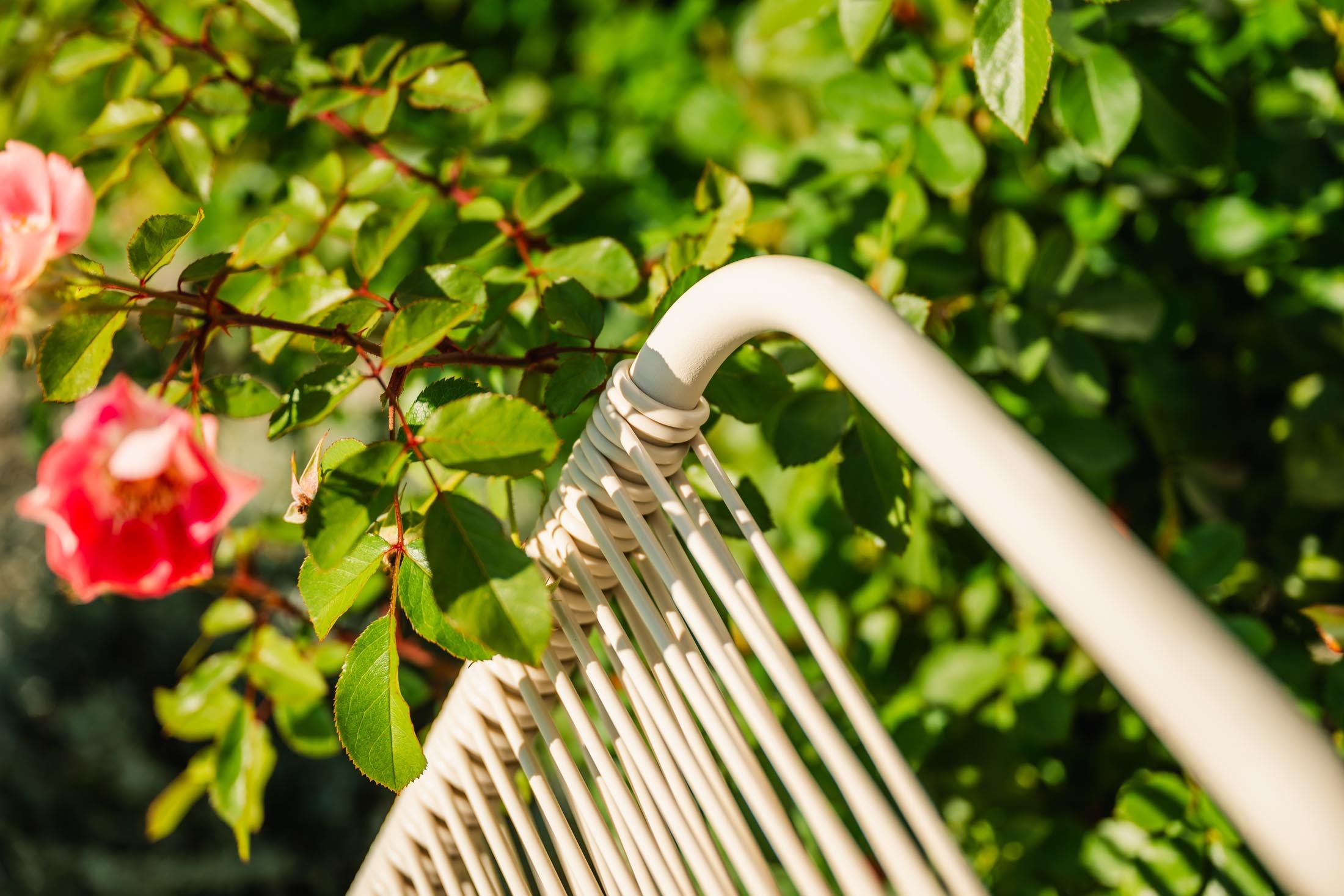 Schaffner Rigi Spaghetti-Salonsessel mit Armlehne aus wetterfestem Eschenholz, langlebig, komfortabel und elegantes Design für Garten, Balkon und Terrasse.