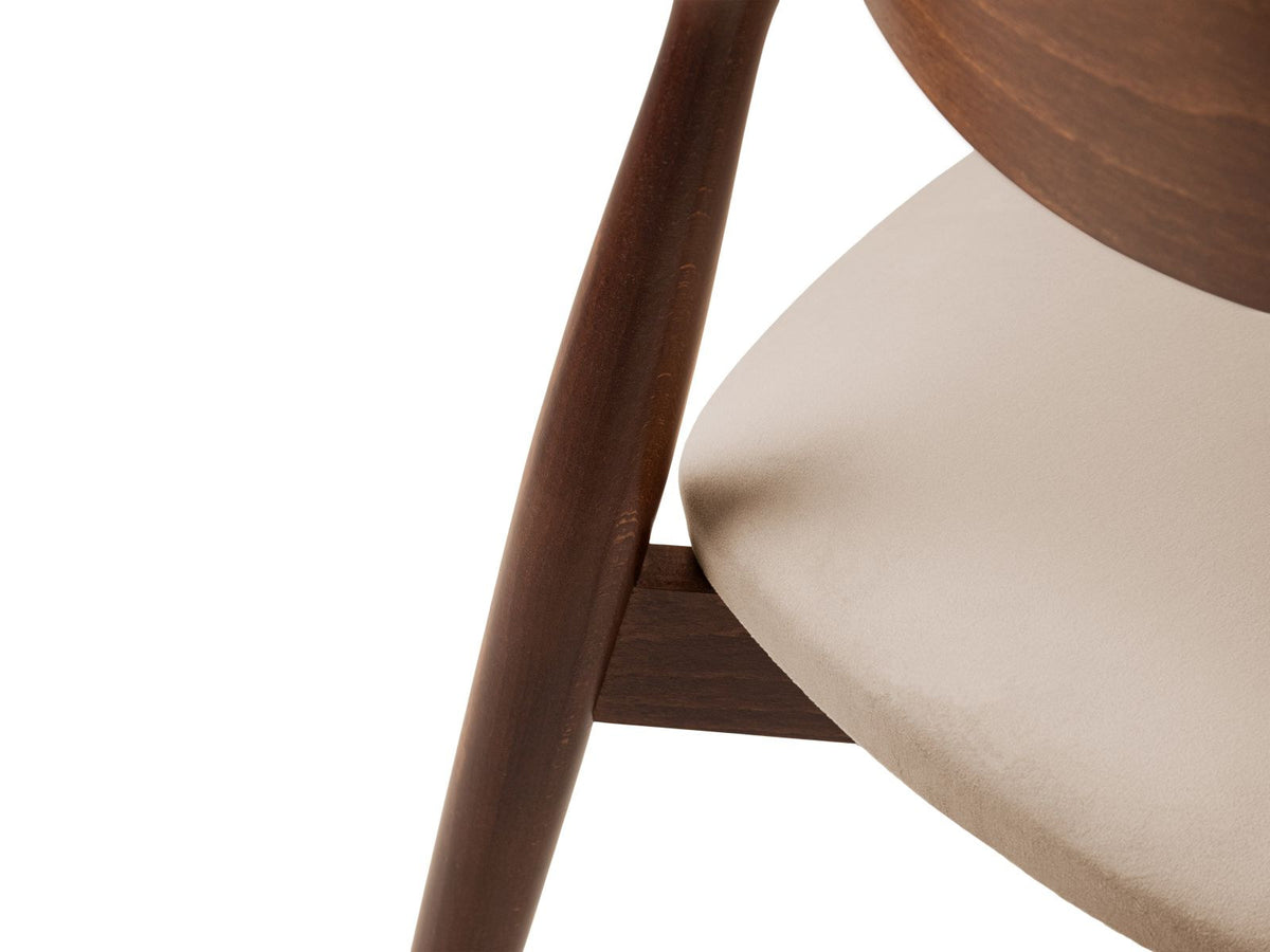 Zwei Leon Stühle mit Samtbezug in Almond Beige, Buchenholz-Beinen und gepolsterter Rückenlehne, Frontalansicht auf hellem Hintergrund.