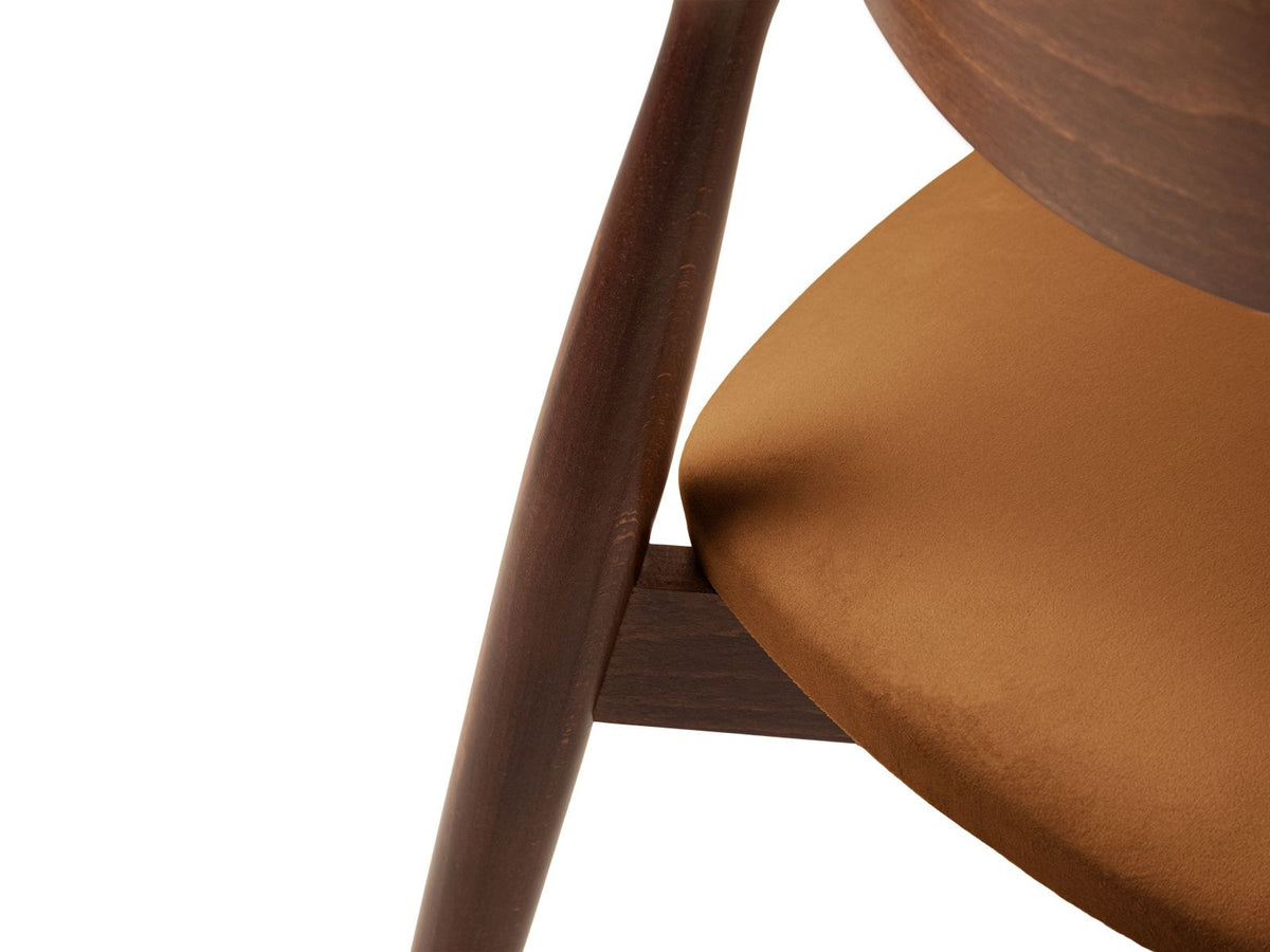 Zwei Leon Stühle mit Samtbezug in Almond Beige, Buchenholz-Beinen und gepolsterter Rückenlehne, Frontalansicht auf hellem Hintergrund.