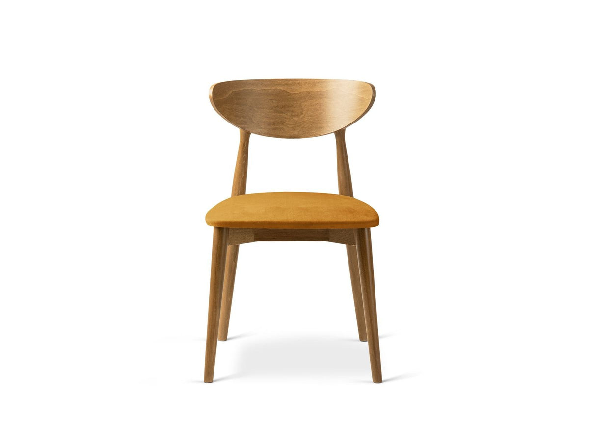Zwei Leon Stühle mit Samtbezug in Almond Beige, Buchenholz-Beinen und gepolsterter Rückenlehne, Frontalansicht auf hellem Hintergrund.
