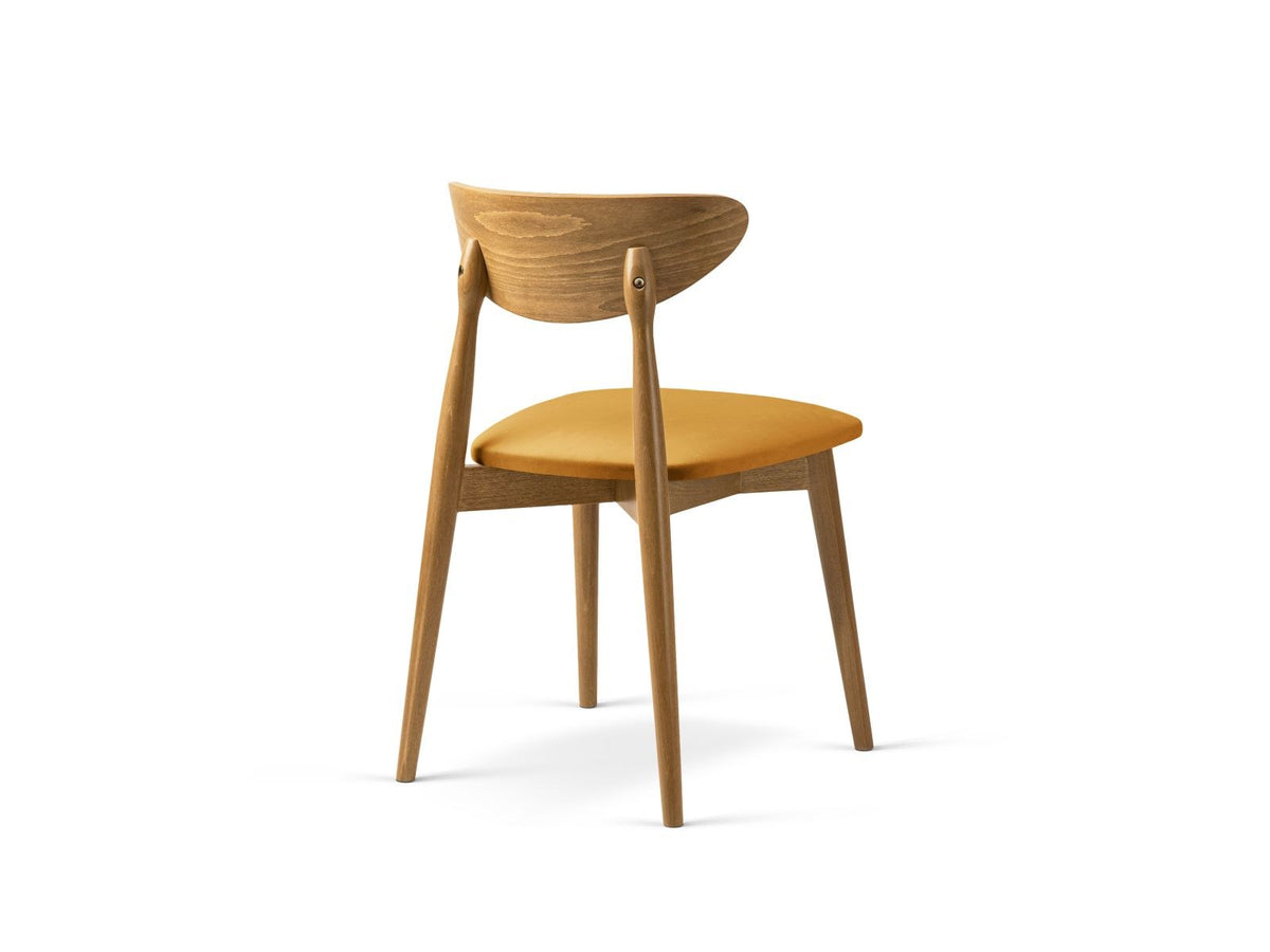 Zwei Leon Stühle mit Samtbezug in Almond Beige, Buchenholz-Beinen und gepolsterter Rückenlehne, Frontalansicht auf hellem Hintergrund.
