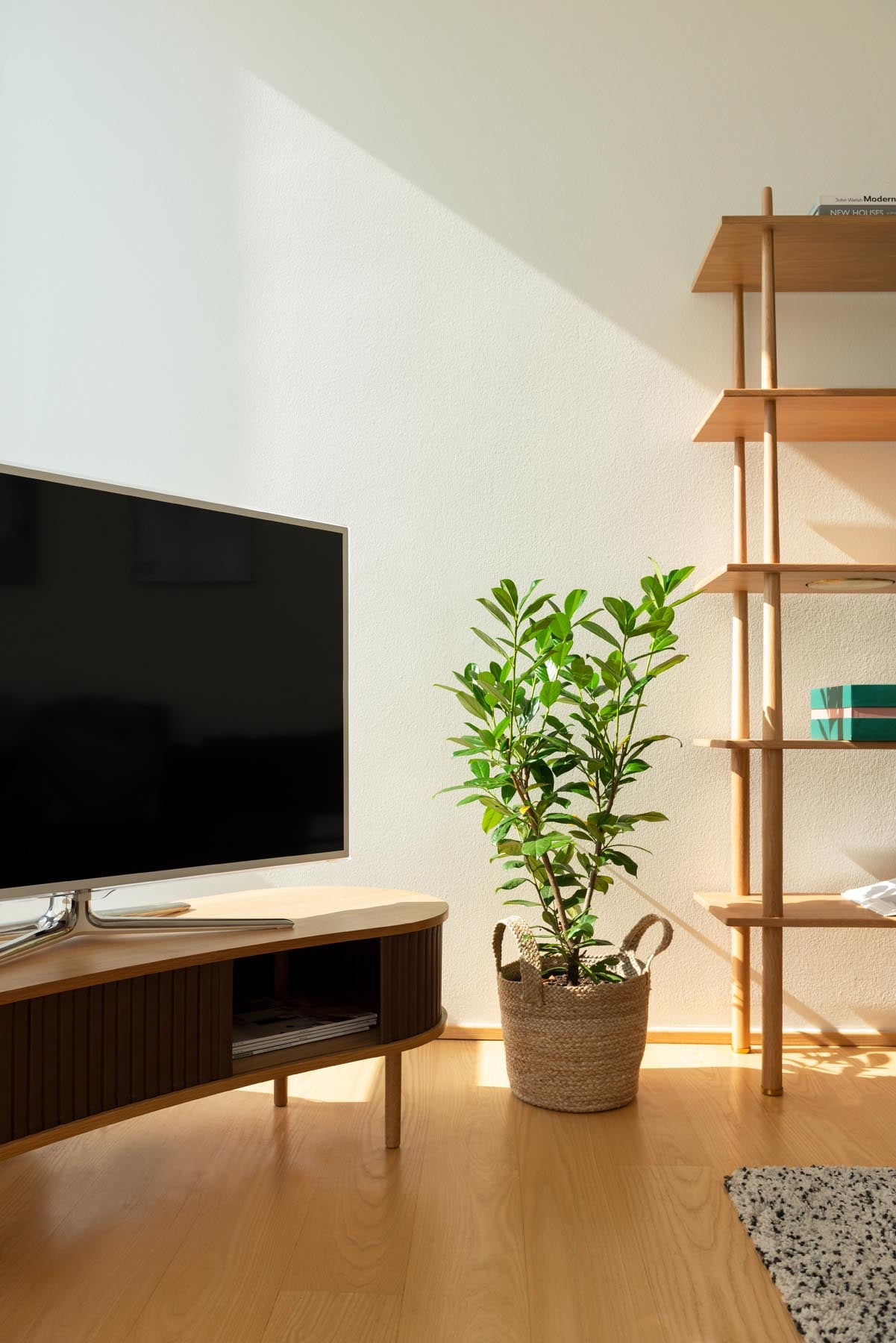 Moderne Audacious TV Bank in edlem Haselnuss-Finish, perfekt für ein stilvolles Ambiente und funktionale Aufbewahrung im Wohnbereich.