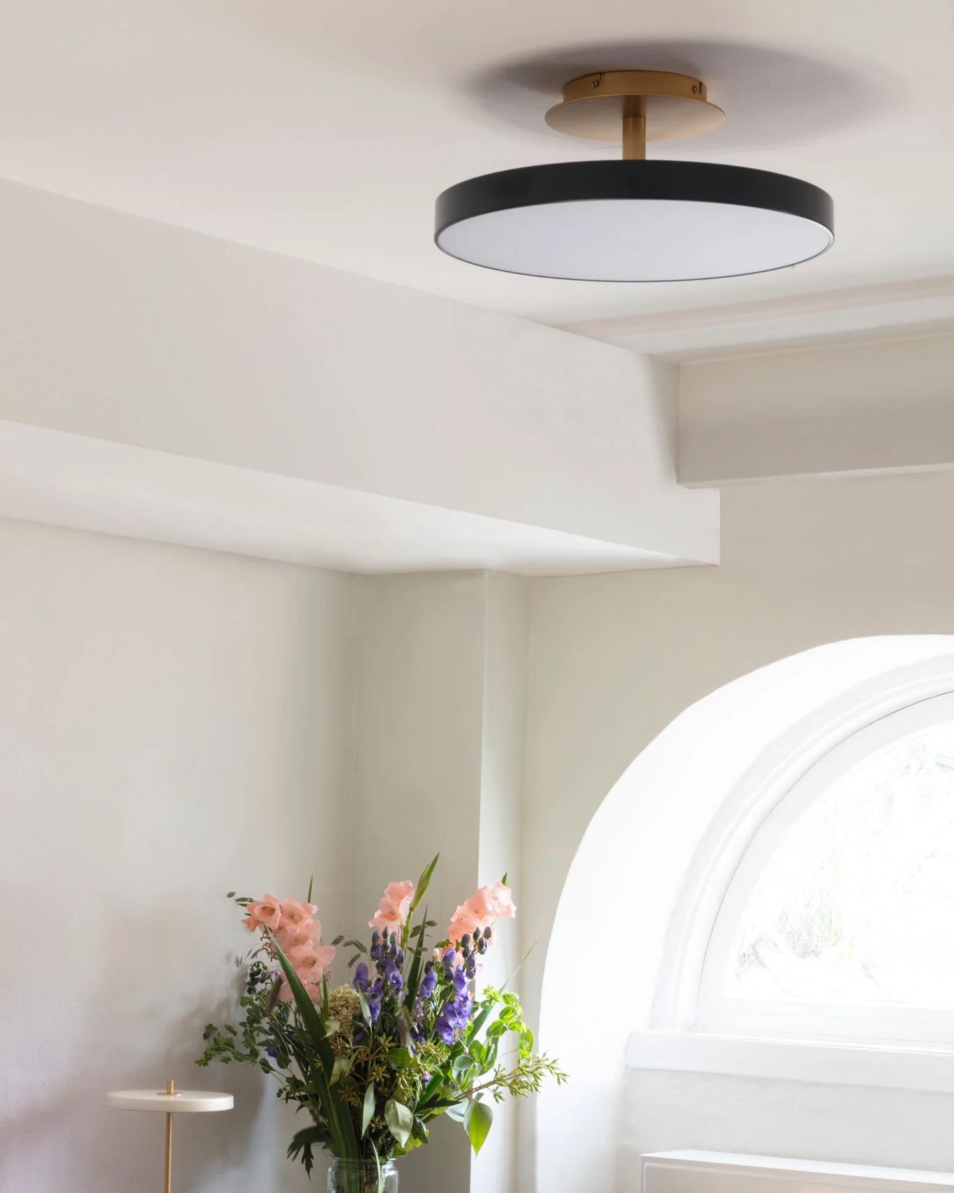 Astéria en plafond de plafond