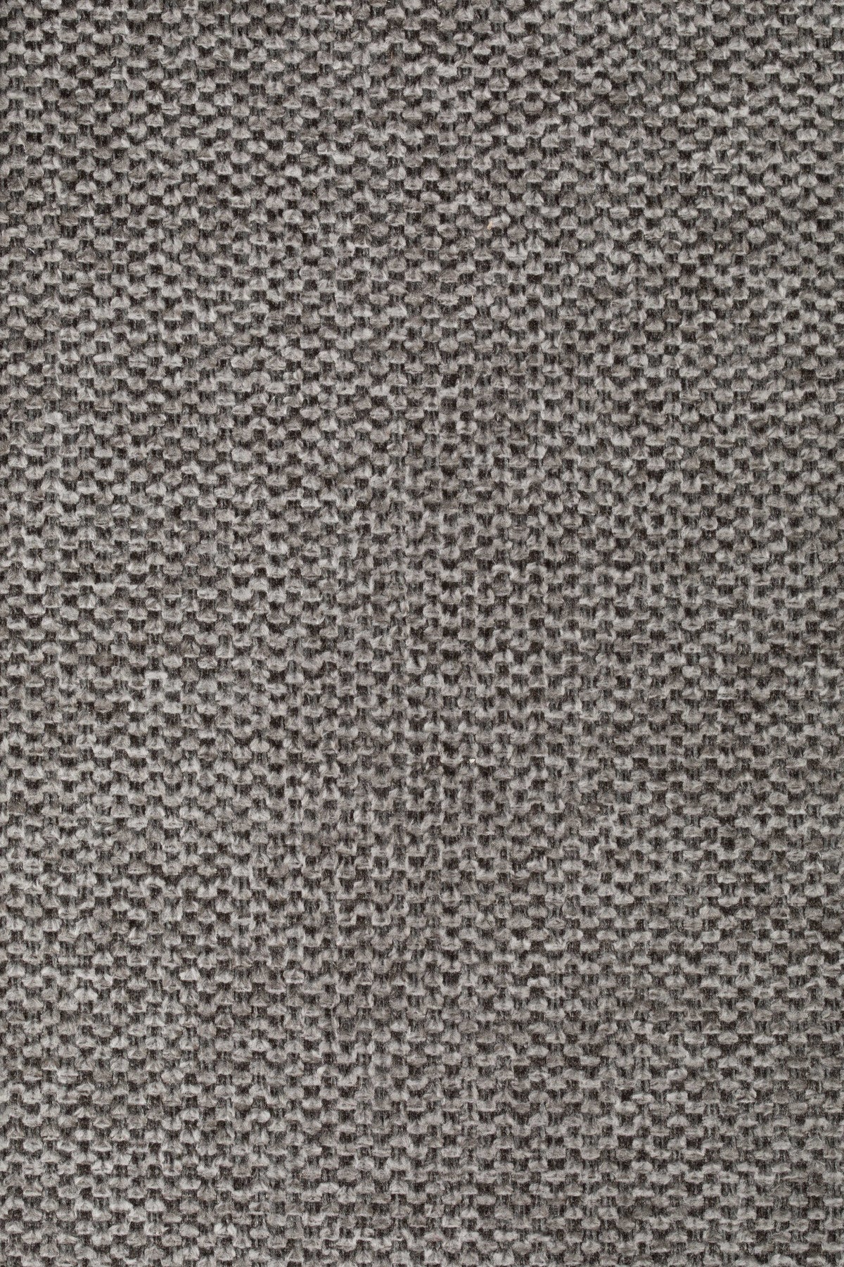 Stuhl Jolien gepolstert V1 in Schwarz/Hellgrau präsentiert im Onlineshop von KAQTU Design AG. Stuhl ist von White Label Living