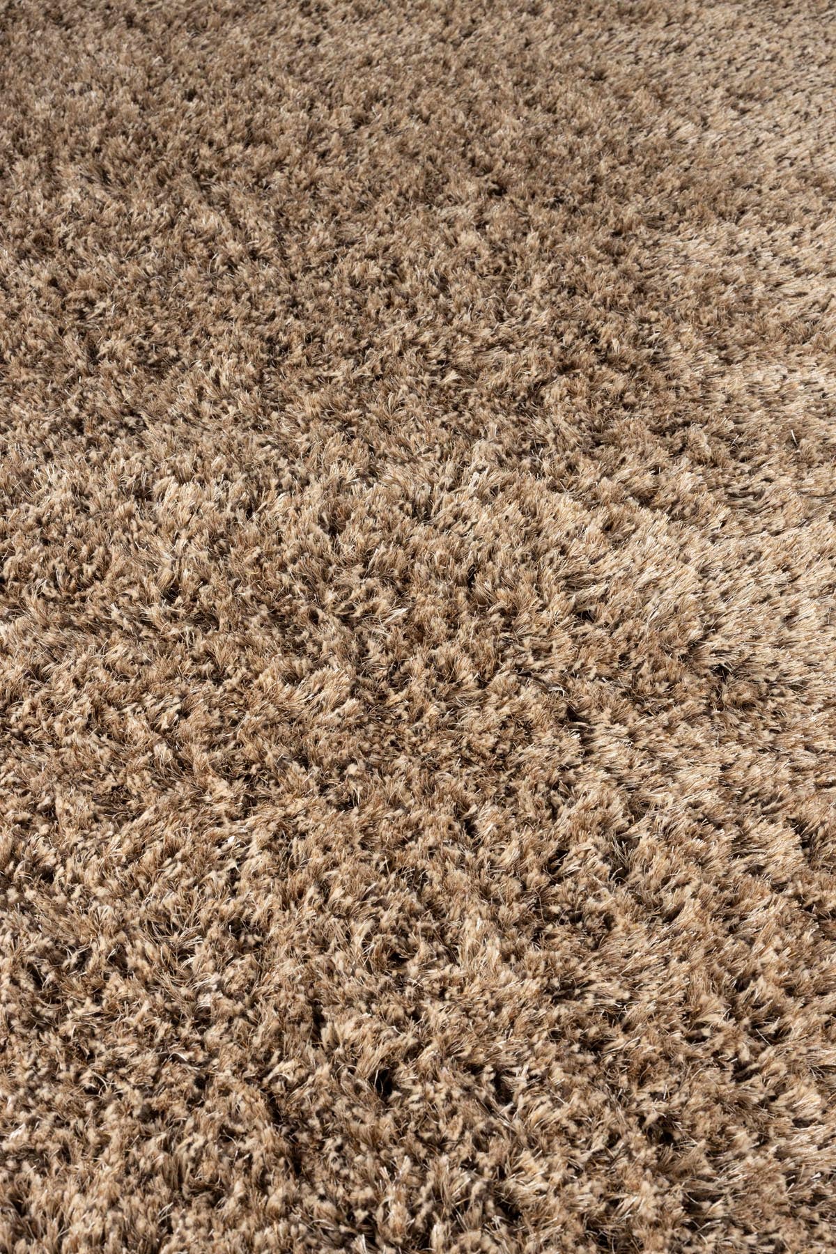 Teppich Tasty 200x290 in Braun präsentiert im Onlineshop von KAQTU Design AG. Teppich ist von Zuiver