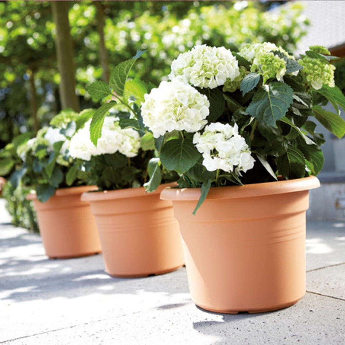 ELHO Basics: Praktisch für Balkon, Garten und Fensterbank
