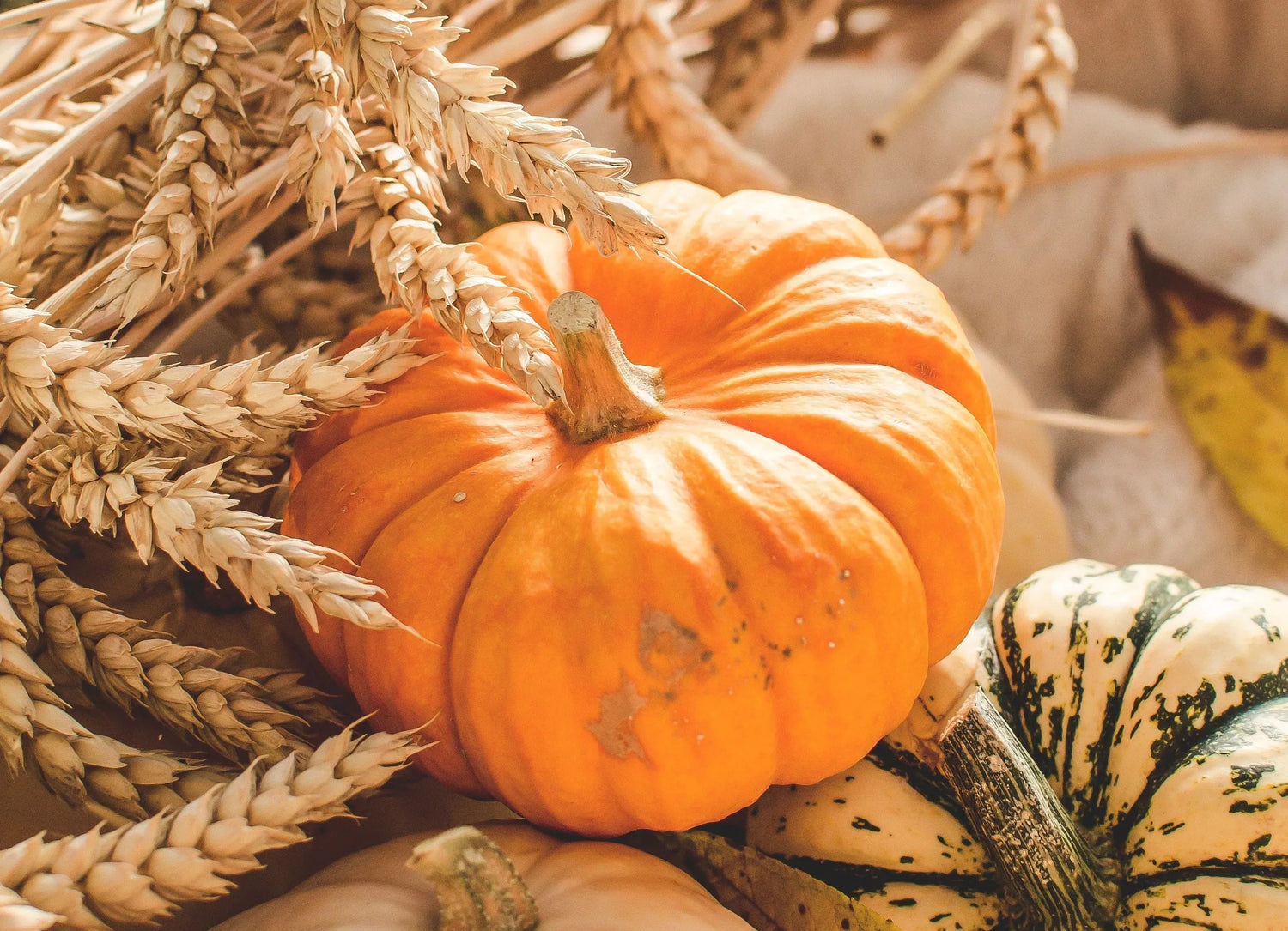 Gemütliche Herbstdeko: Kürbisse, Kerzen und warme Textilien für Zuhause.