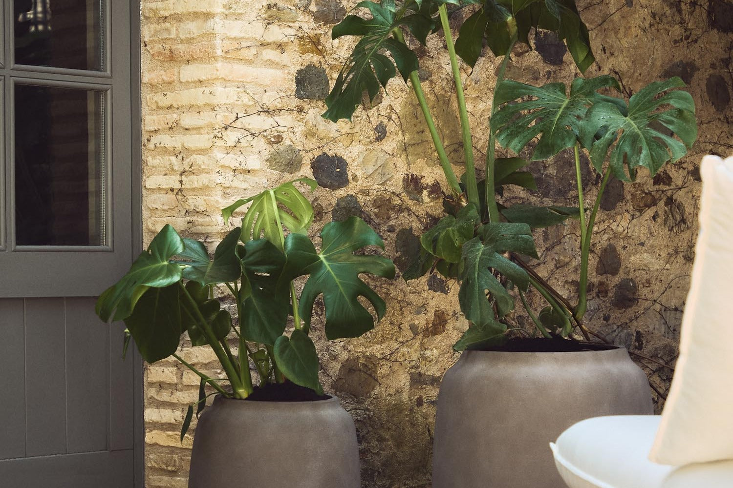 Entdecke, wie Biophilic Design deine Stadtwohnung mit natürlichen Materialien, Lichtinseln und Pflanzen in eine entspannende, lebendige Oase verwandelt.
