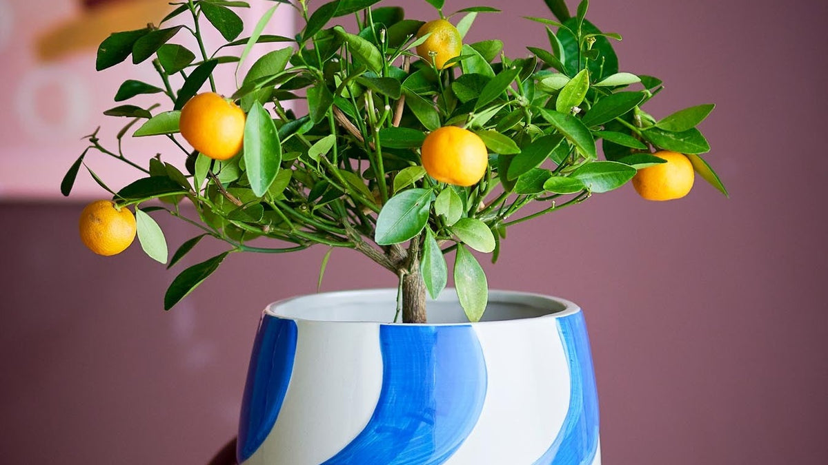 Edge Blumenstrauß, Violett, Künstliche Blumen in Purple präsentiert im Onlineshop von KAQTU Design AG. Kunstpflanze ist von Bloomingville