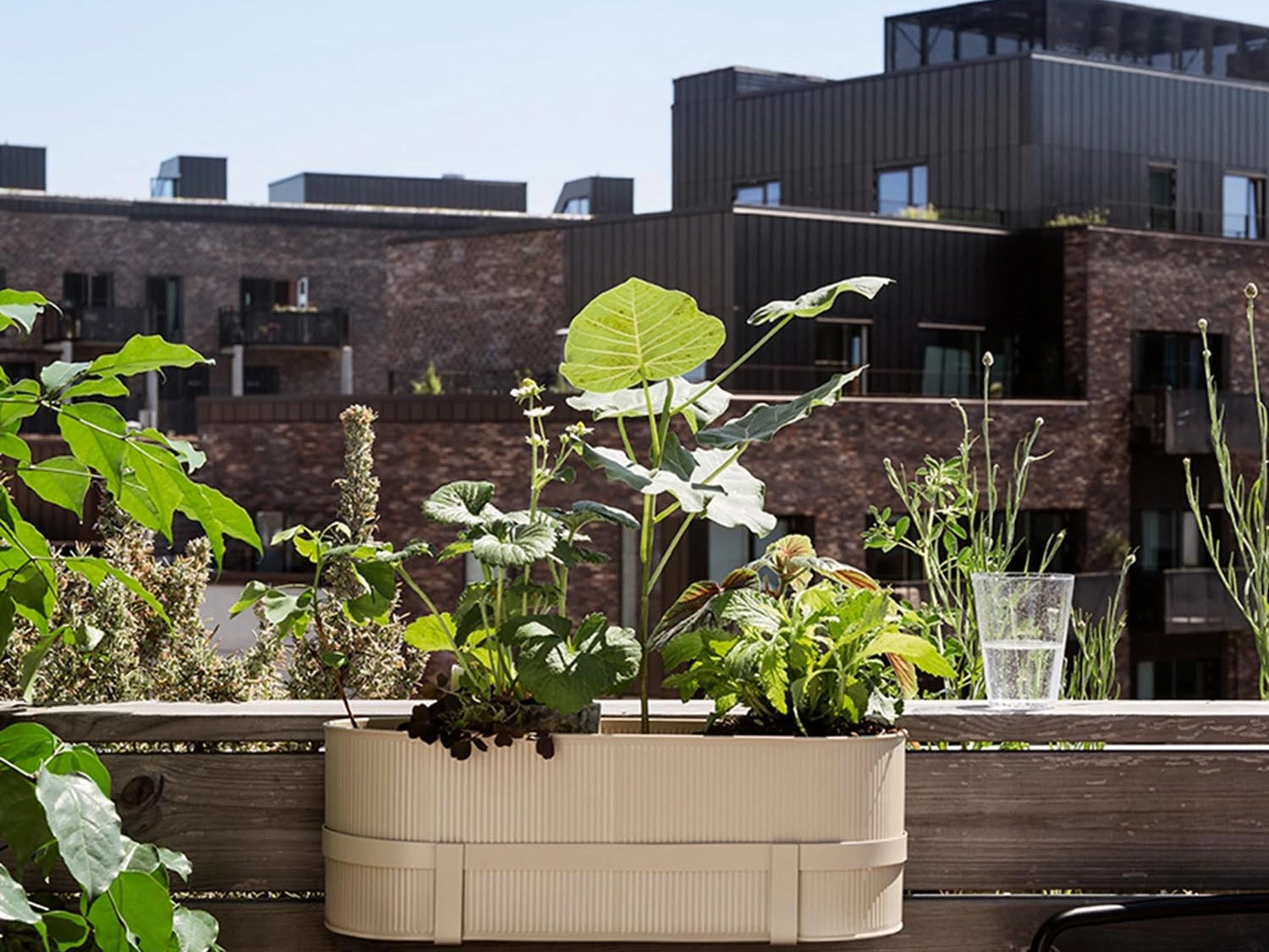 Entdecke die stilvollen Bau Pflanzentöpfe von Ferm Living – perfekte Kombination aus grafischer Struktur und Funktionalität für Innen- und Außenbereiche.