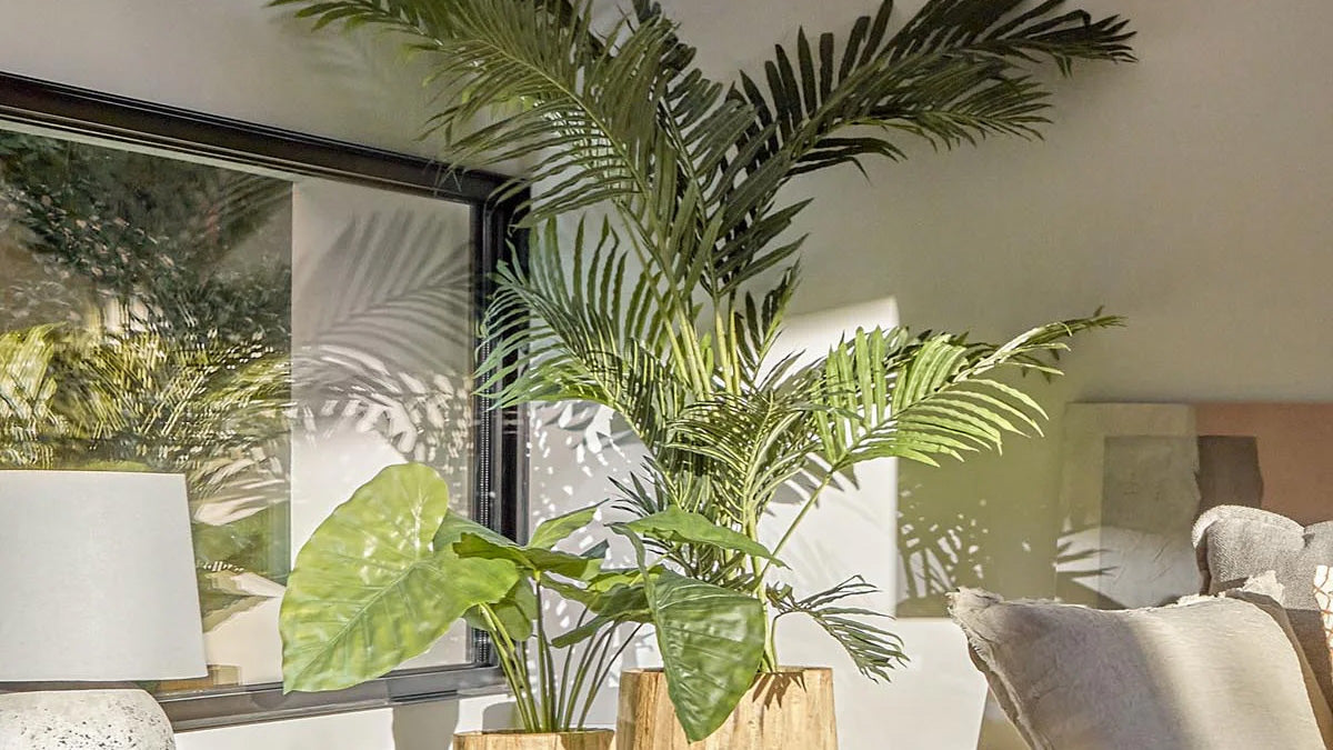 Entdecke unsere realistischen Kunstpflanzen für stilvolle Räume. Pflegeleicht, langlebig und allergiefrei – ideal für Wohnzimmer, Schlafzimmer und Büro!