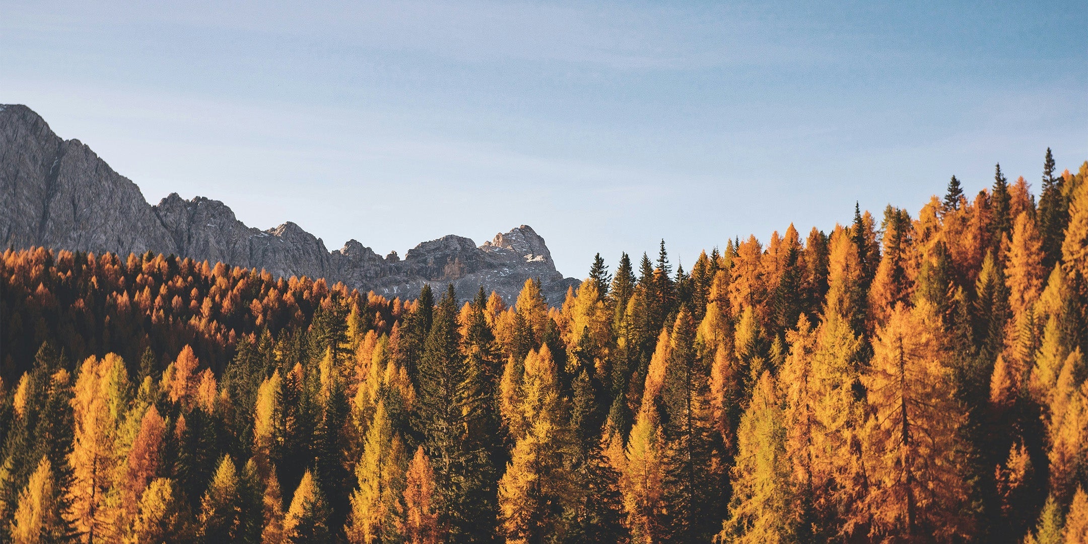 Entdecken Sie die "Herbstzauber Zuhause" Kollektion: warme Farben, natürliche Materialien und stimmungsvolle Beleuchtung für gemütliche Herbstwohnideen.