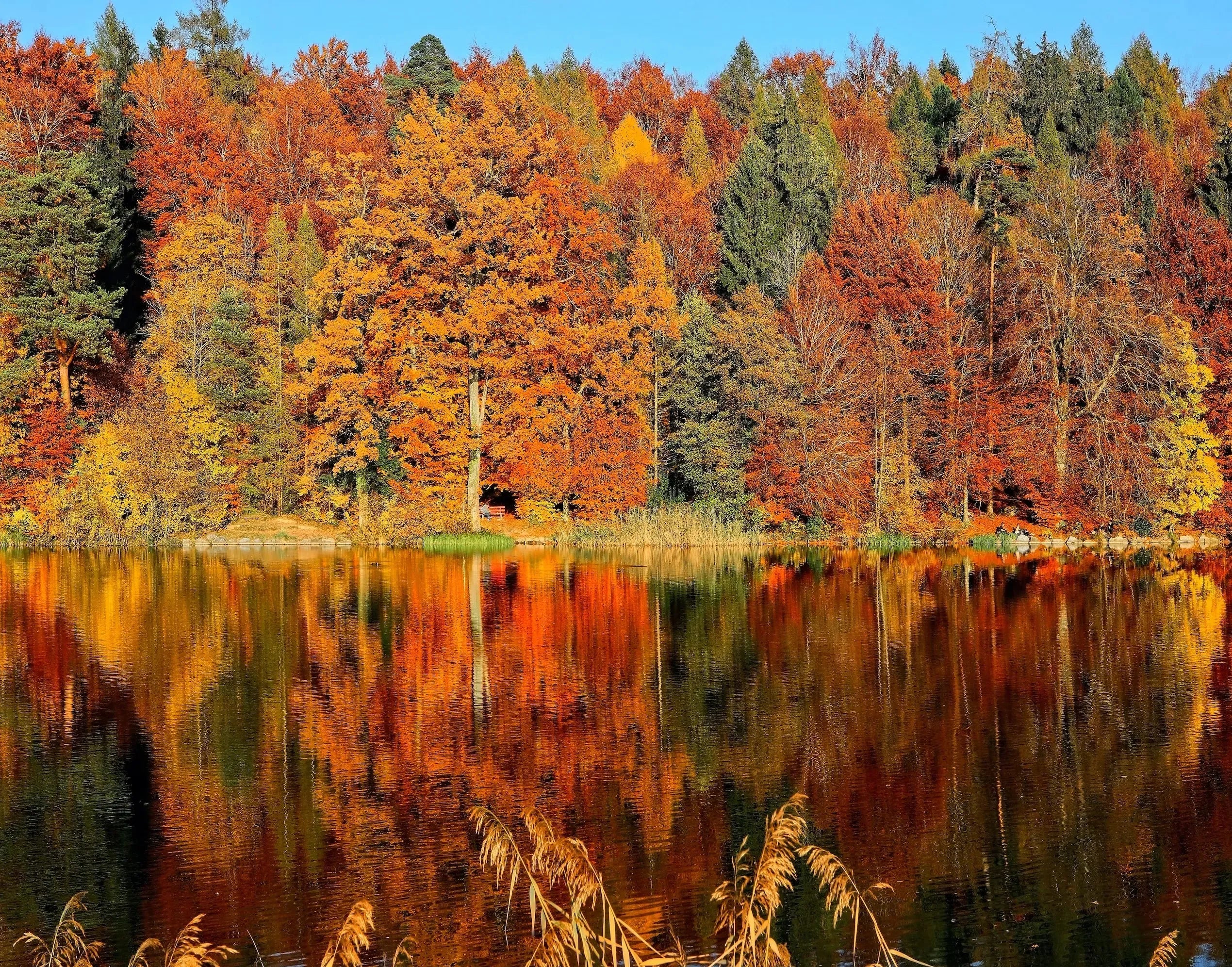 "Herbstzauber Zuhause": Gemütliche Kissen, warme Farben, stimmungsvolle Beleuchtung.