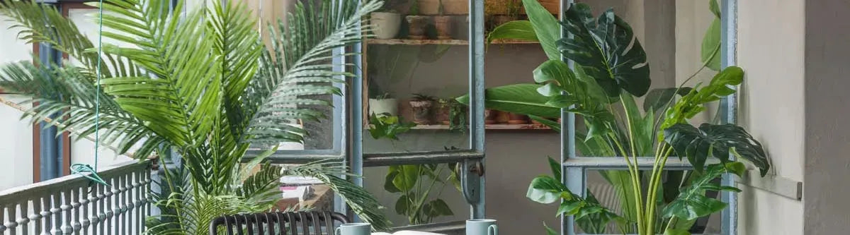 Entdecken Sie die exklusive SWISSPEARL Kollektion: Hochwertige Materialien, innovatives Design und vielseitige Einsatzmöglichkeiten für Ihr Zuhause.