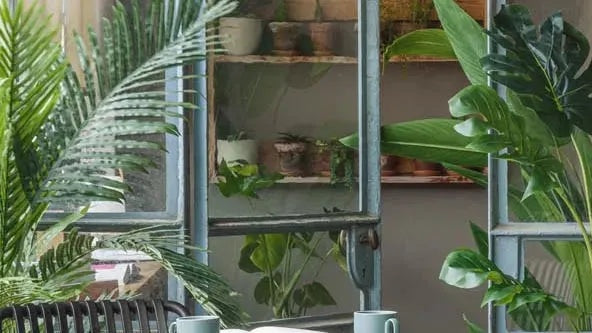 Entdecken Sie die exklusive SWISSPEARL Kollektion: Hochwertige Materialien, innovatives Design und vielseitige Einsatzmöglichkeiten für Ihr Zuhause.