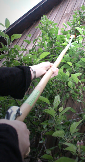 Obstpflücker mit 300 cm Länge, klappbar auf 163 cm, ideal für bequemes Ernten von Obst in hohen Bäumen.