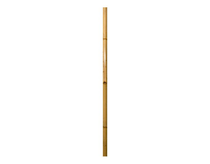 WINDHAGER Bambus-Rohr 2 m ø 4 cm natur in  präsentiert im Onlineshop von KAQTU Design AG. Gartenutensilien ist von WINDHAGER
