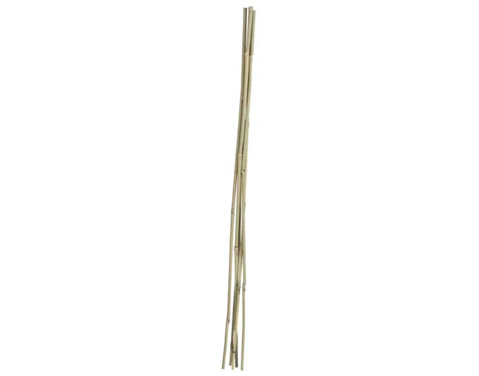Bambusstab 75 cm 5 Stück natur in  präsentiert im Onlineshop von KAQTU Design AG. Gartenutensilien ist von E + h