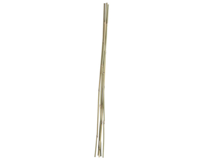 Bambusstab 75 cm 5 Stück natur in  präsentiert im Onlineshop von KAQTU Design AG. Gartenutensilien ist von E + h