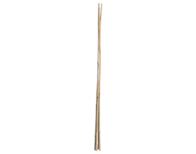 Bambusstab 90 cm 4 Stück natur in  präsentiert im Onlineshop von KAQTU Design AG. Gartenutensilien ist von E + h