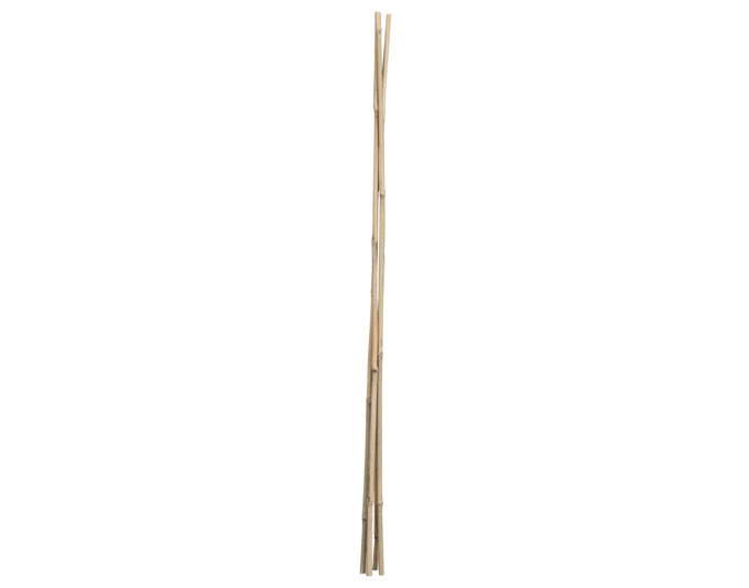 Bambusstab 75 cm 5 Stück natur in  präsentiert im Onlineshop von KAQTU Design AG. Gartenutensilien ist von E + h