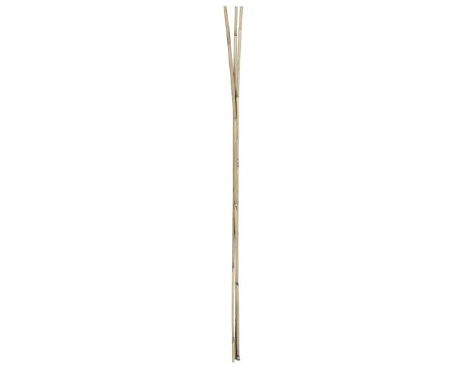 Bambusstab 120 cm 3 Stück natur in  präsentiert im Onlineshop von KAQTU Design AG. Gartenutensilien ist von E + h