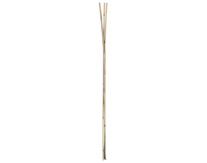 Bambusstab 75 cm 5 Stück natur in  präsentiert im Onlineshop von KAQTU Design AG. Gartenutensilien ist von E + h