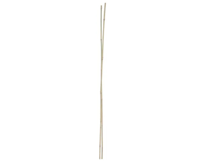 Bambusstab 150 cm 2 Stück natur in  präsentiert im Onlineshop von KAQTU Design AG. Gartenutensilien ist von E + h