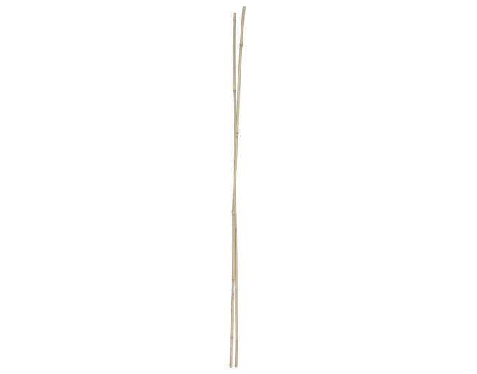 Bambusstab 75 cm 5 Stück natur in  präsentiert im Onlineshop von KAQTU Design AG. Gartenutensilien ist von E + h