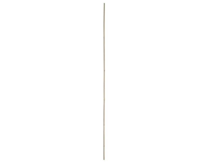 Bambusstab 180 cm 1 Stück natur in  präsentiert im Onlineshop von KAQTU Design AG. Gartenutensilien ist von E + h