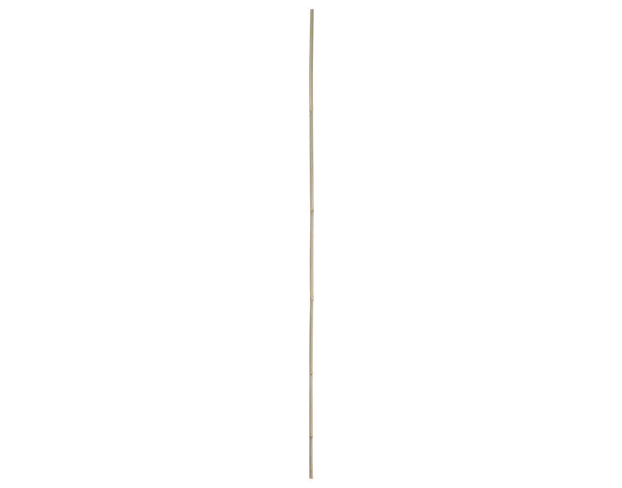 Bambusstab 75 cm 5 Stück natur in  präsentiert im Onlineshop von KAQTU Design AG. Gartenutensilien ist von E + h
