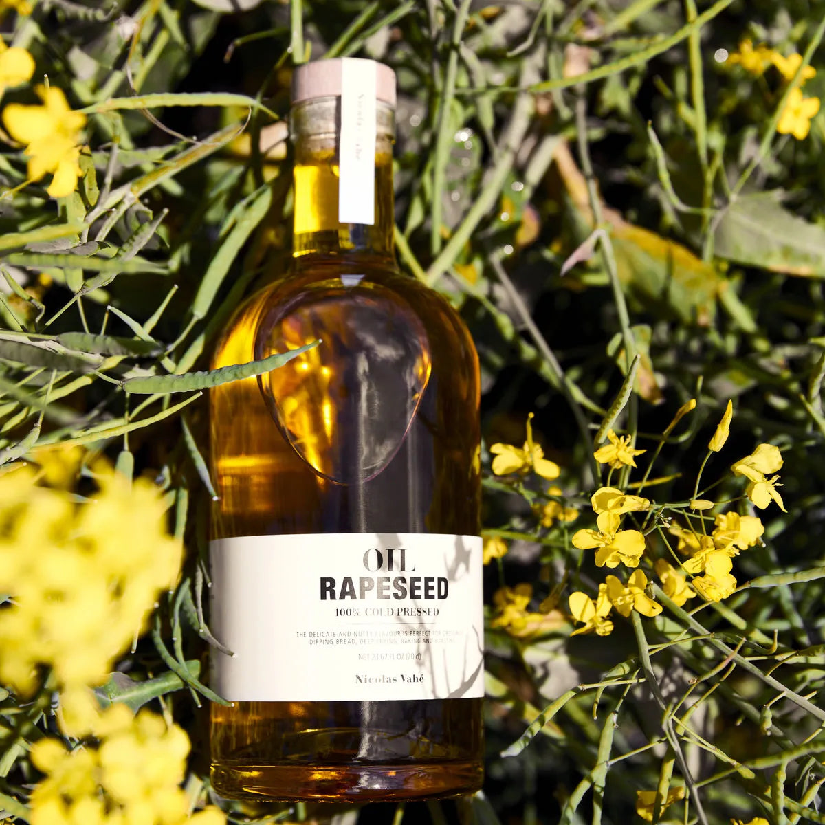 Rapeseed Öl, Cold Pressed in  präsentiert im Onlineshop von KAQTU Design AG. Lebensmittel ist von Nicolas Vahé