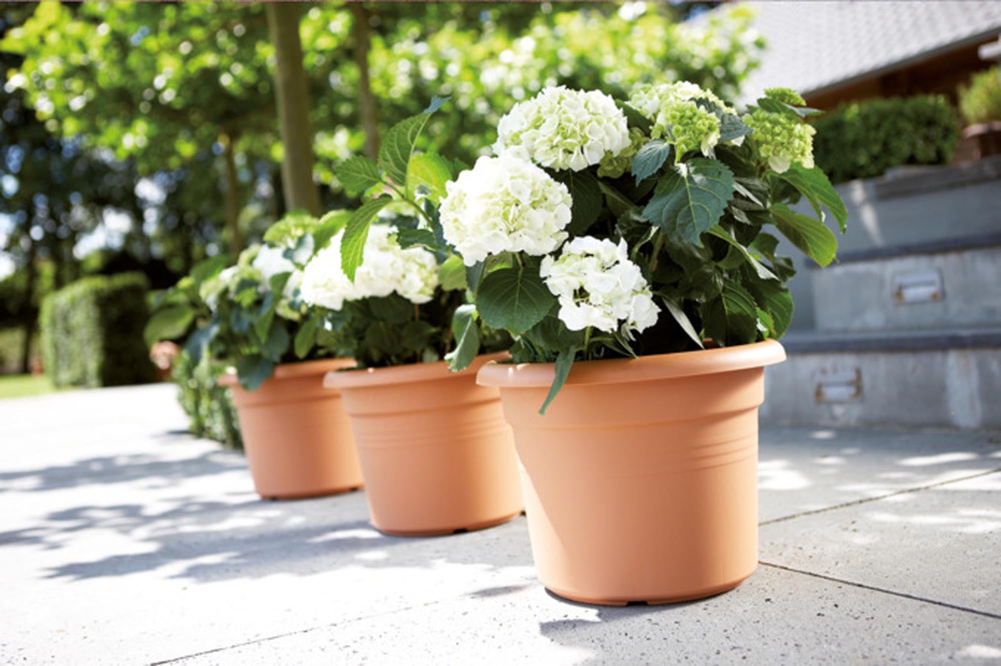 ELHO Green Basics Cylinder, ø 44 cm, terrakottafarben, nachhaltiges Pflanzengefäß aus recyceltem Kunststoff, ideal für Garten und Balkon.