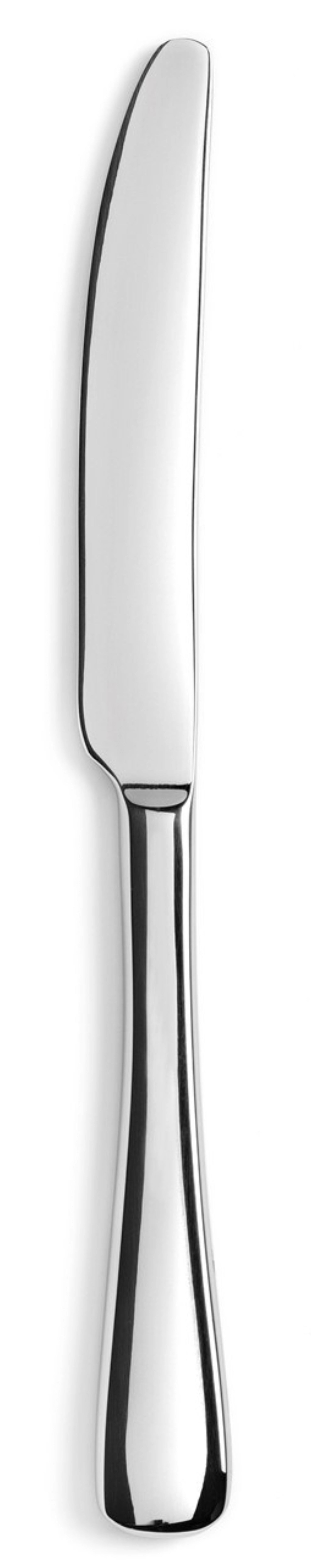 Entdecken Sie das elegante Arles Buttermesser aus glänzendem Edelstahl von Revol. Hochwertig, langlebig und ergonomisch – ideal für stilvolle Tischdekoration.