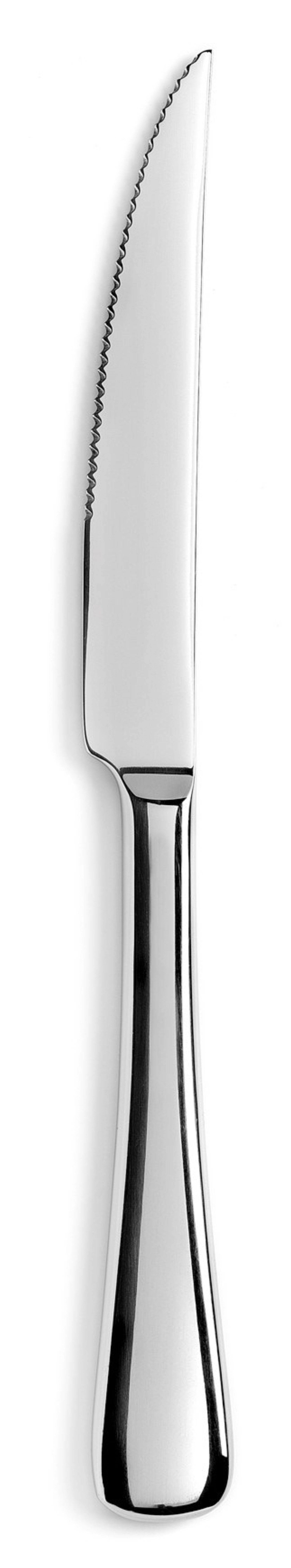 Elegantes Steakmesser Arles aus glänzendem Edelstahl von Revol, perfekt für Steakliebhaber, vereint Funktionalität und stilvolles Design.