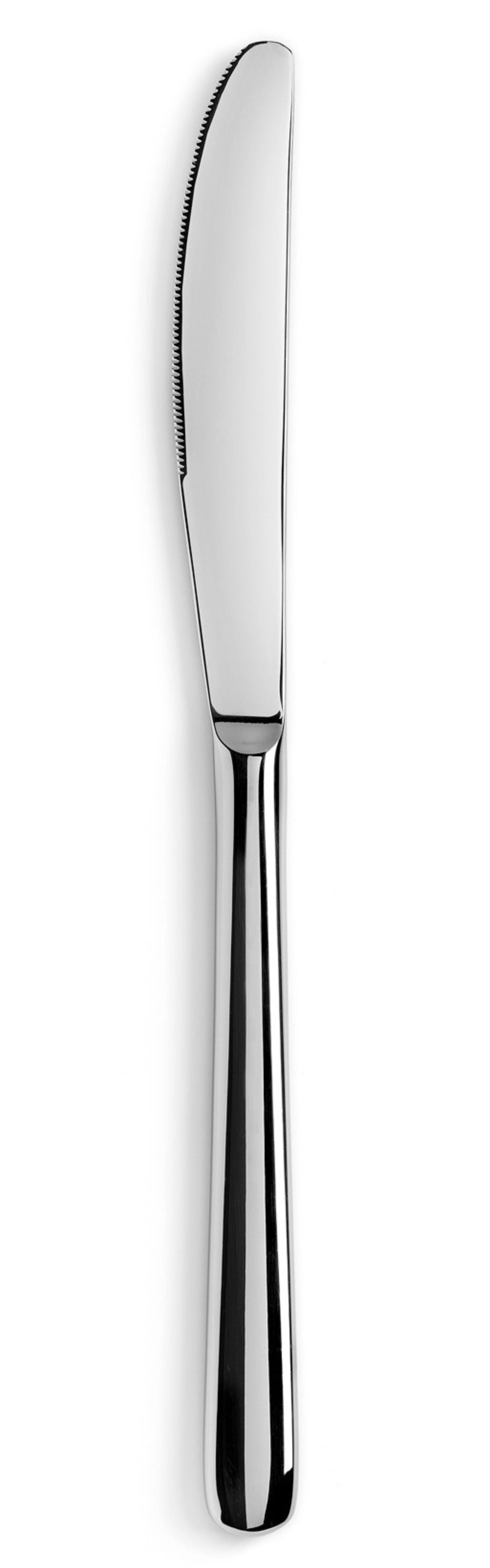 Elegantes Courchevel Tafelmesser aus glänzendem Edelstahl von Revol. Hochwertig, ergonomisch und ideal für stilvolle Dinnerpartys.