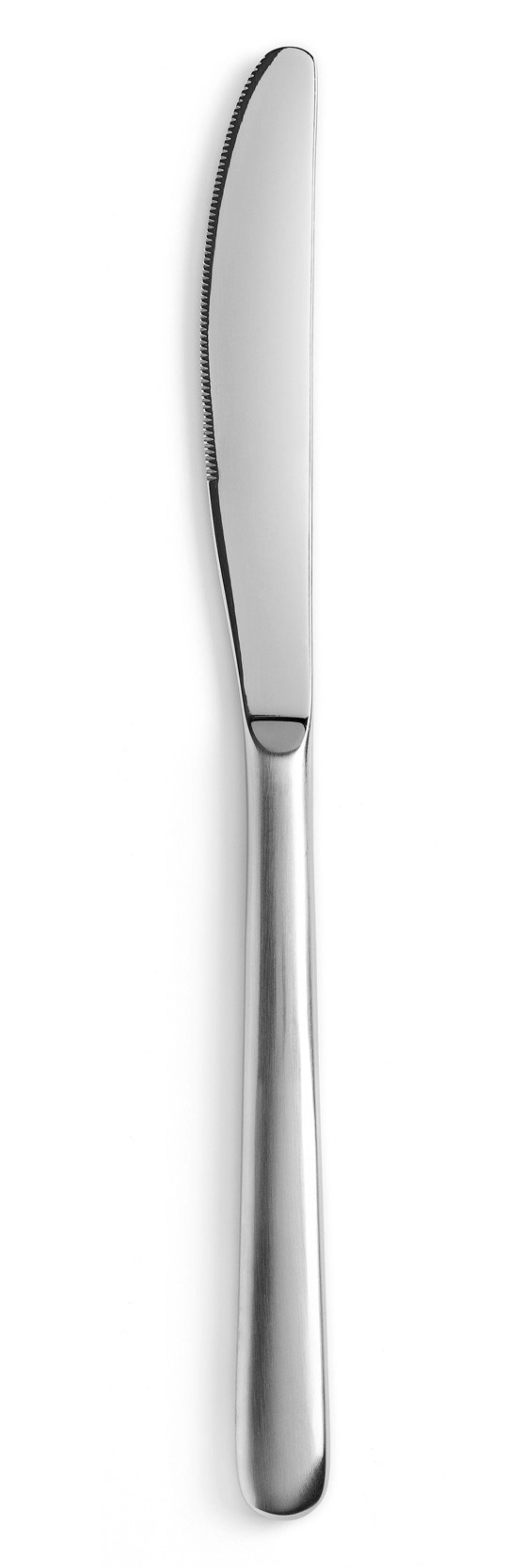 Entdecken Sie den eleganten Courchevel Teelöffel Inox matt von Revol. Ideal für stilvolles Servieren und perfekte Ergänzung für Ihr Besteckset.