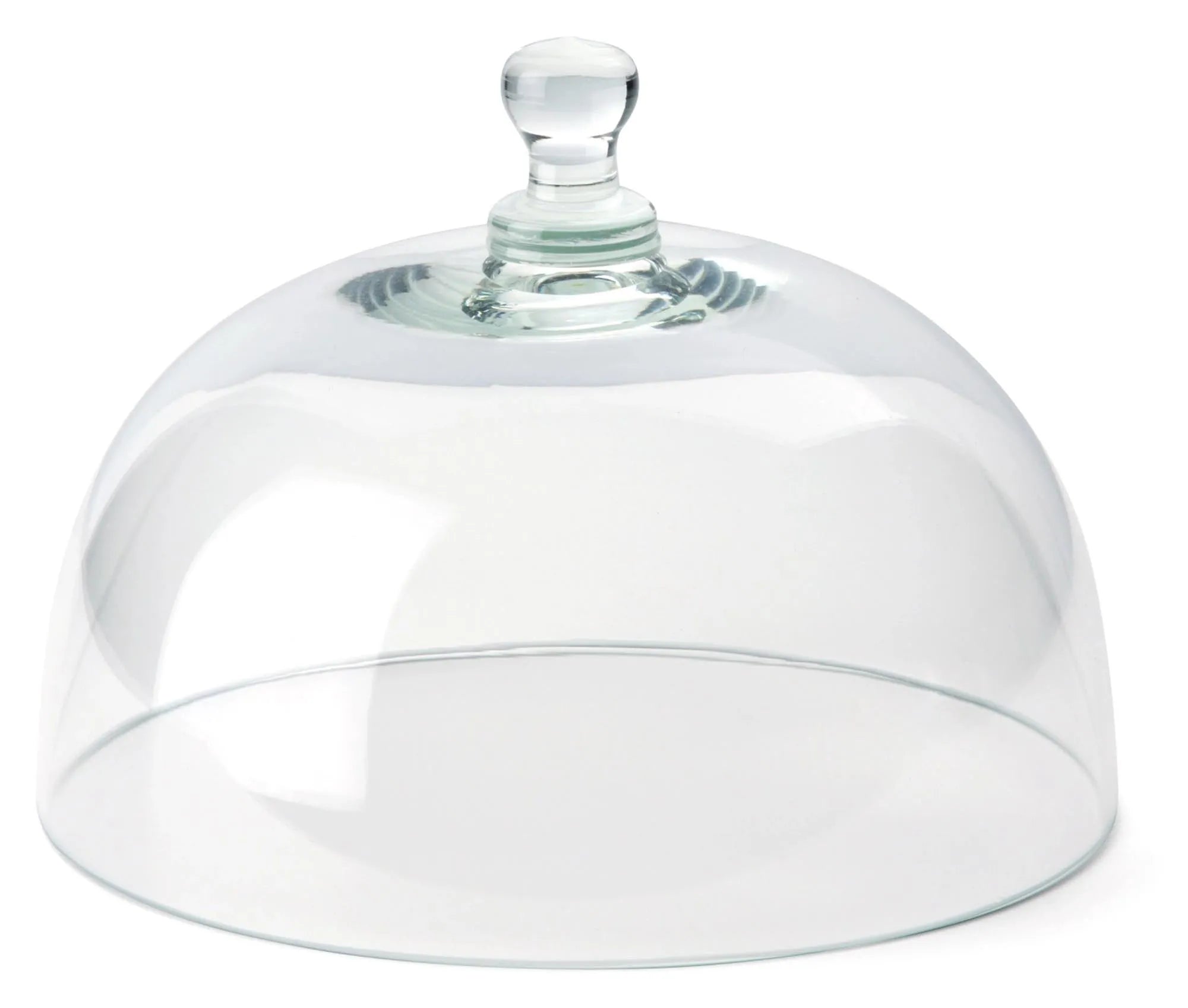 Elegante Glasglocke von Continenta, 26 cm, schützt und präsentiert Gummibäume stilvoll und funktional.
