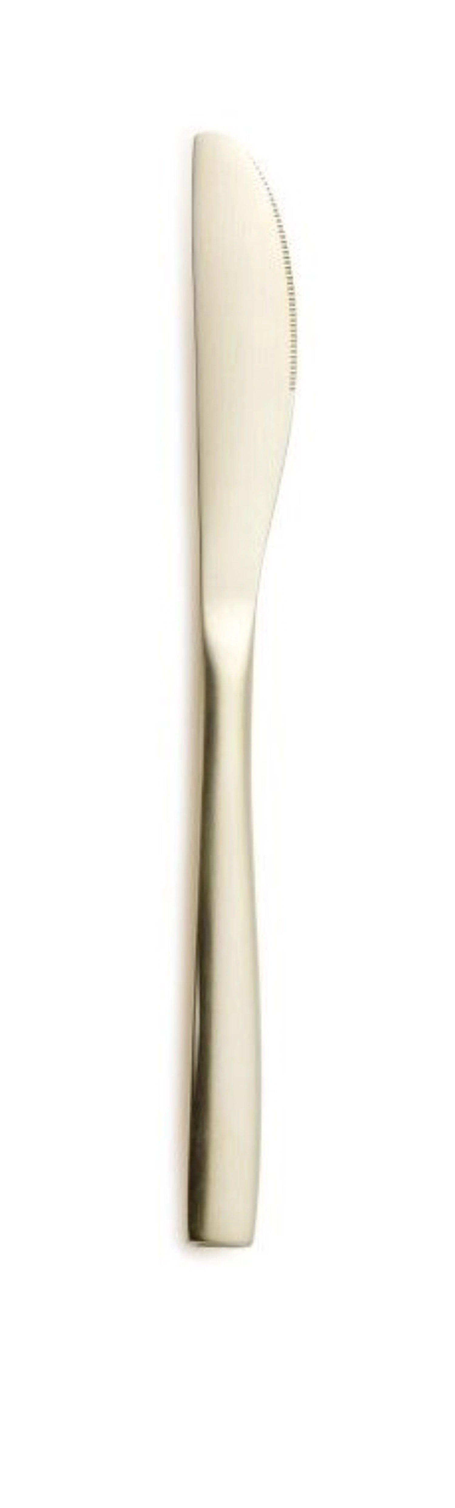 Barcelona dessert knife 18/0 Champagne matt