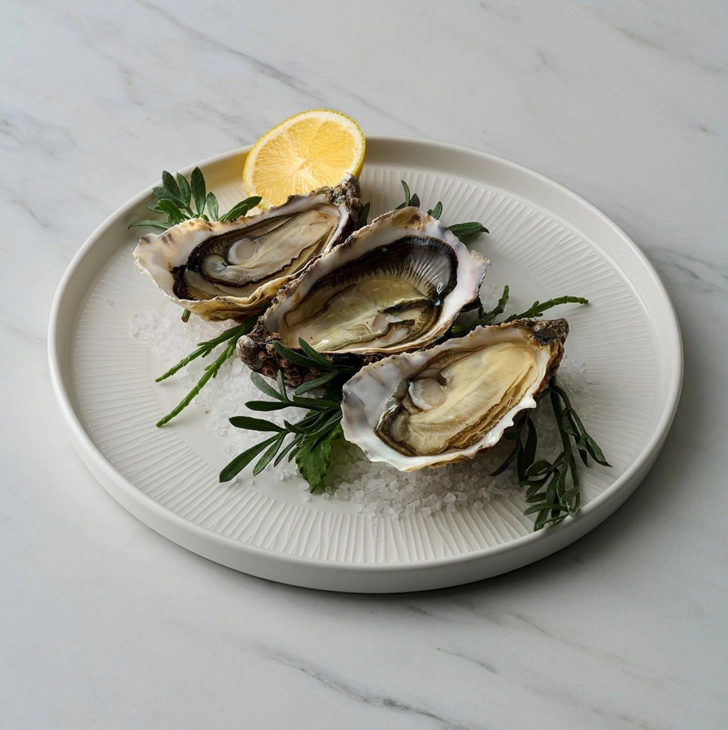 Weißer 26 cm Teller aus hochwertigem Bambus von Churchill, ideal für stilvolle Anlässe und umweltbewusste Gastronomie.