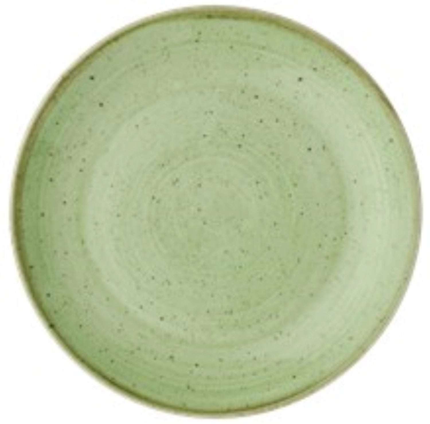 Stonecast Sage Green Coupe Plate Flat 26cm
