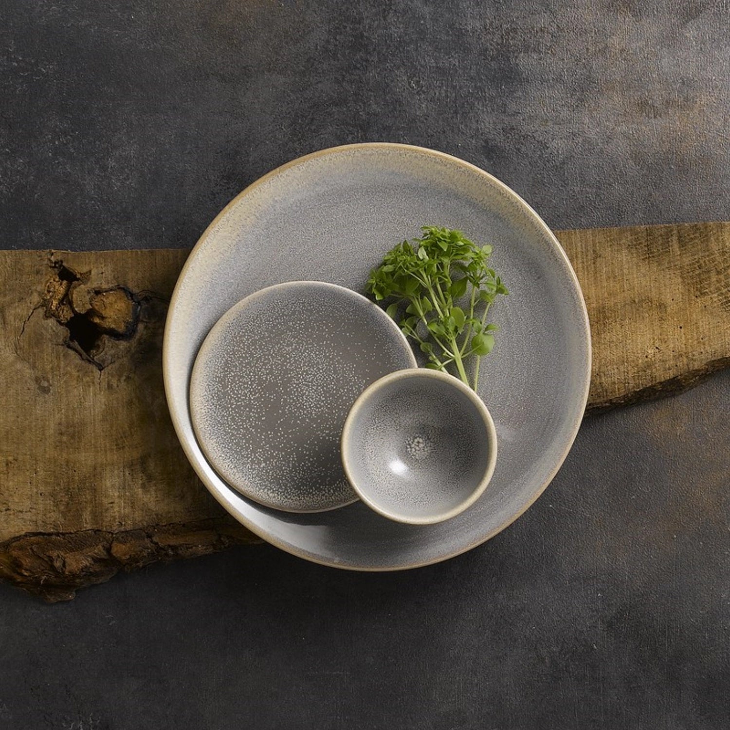 Evo Granite Coupe Teller 29,5 cm: Robustes, stilvolles Porzellan für Gastronomie und Zuhause. Leicht zu reinigen, hitzebeständig und elegant.