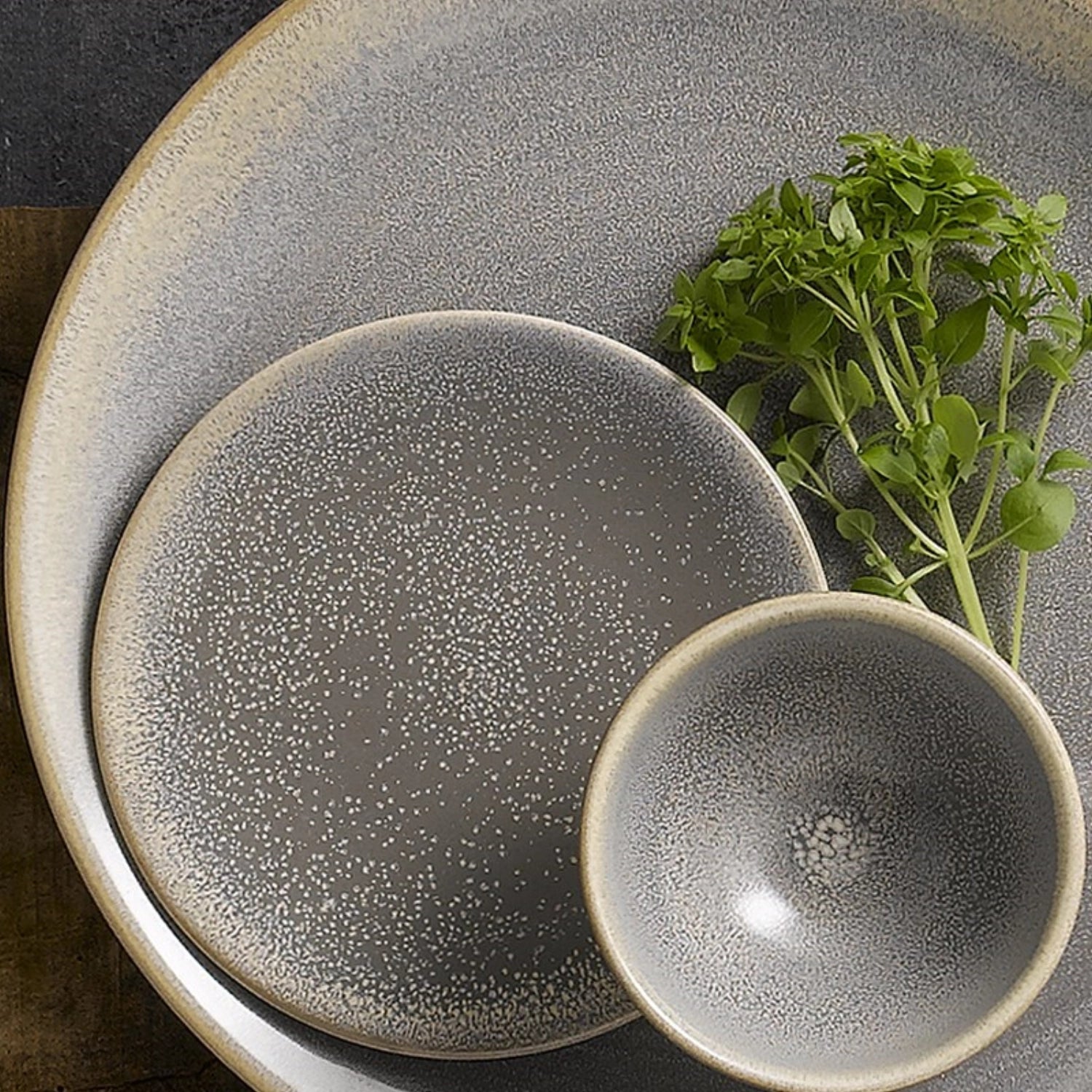 Eleganter flacher Coupe Teller Evo Granite von Churchill, 29,5 cm, perfekt für stilvolle Anlässe und kreative Präsentationen.