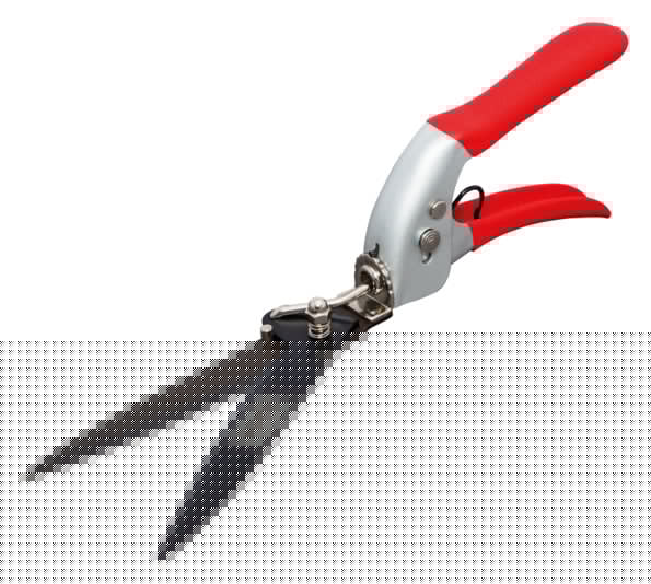 SIENA GARDEN Rasenkantenschere 31.8 cm in  präsentiert im Onlineshop von KAQTU Design AG. Werkzeug ist von SIENA GARDEN