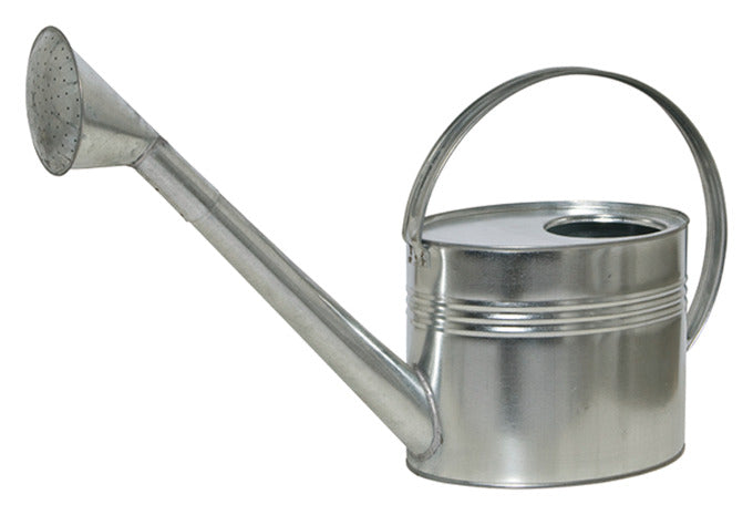 SIENA GARDEN Giesskanne mit Brause 7 l in  präsentiert im Onlineshop von KAQTU Design AG. Giesskanne ist von SIENA GARDEN