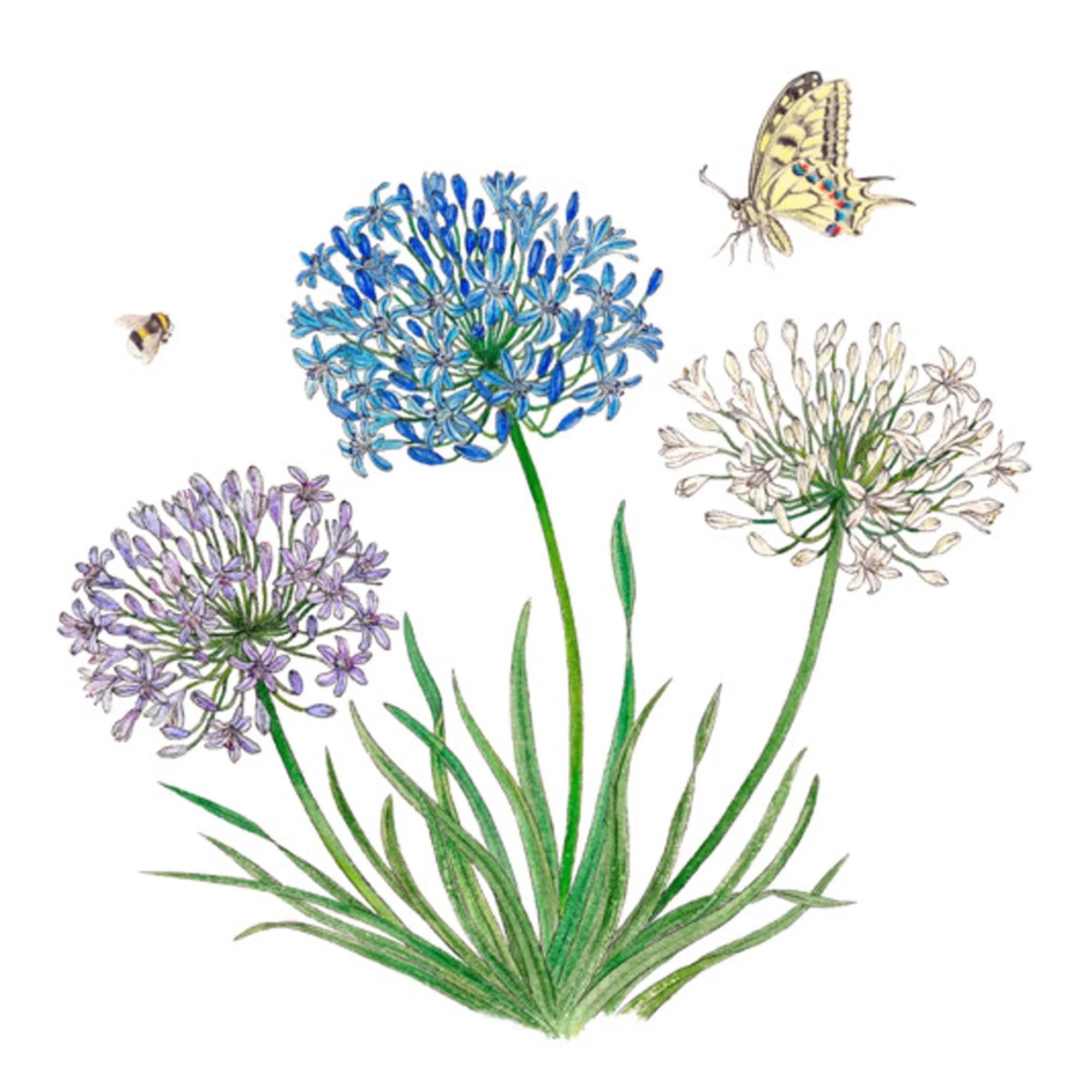 Servietten Agapanthus 33x33 cm in  präsentiert im Onlineshop von KAQTU Design AG. Servietten ist von PPD