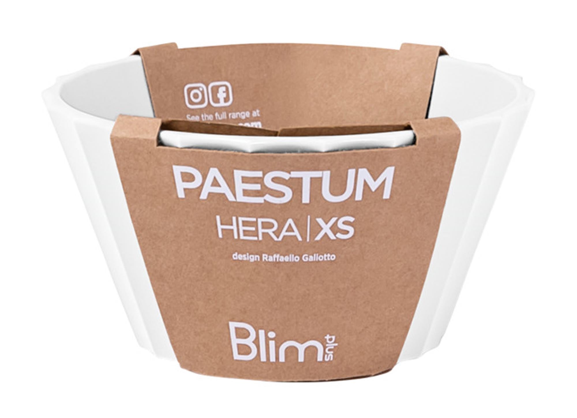 Elegante BLIM PLUS Schüssel Hera XS, 11 cm Durchmesser, 6 cm hoch, in Weiß. Ideal für kleine Portionen und stilvolles Servieren.