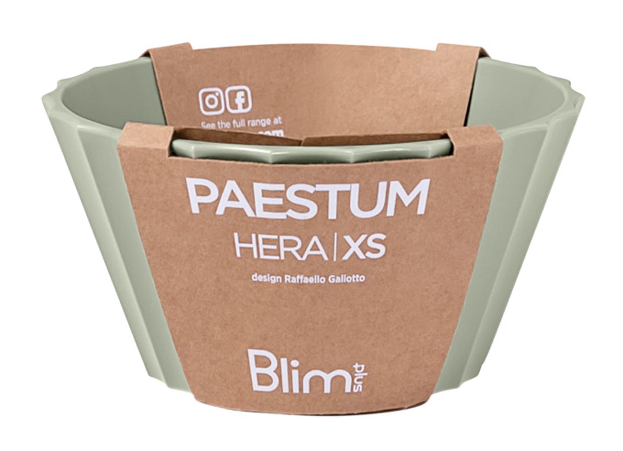 Kleine grüne Schüssel BLIM PLUS Hera XS, 11 cm Durchmesser, 6 cm hoch, ideal für Snacks oder Beilagen, stilvoll und praktisch.