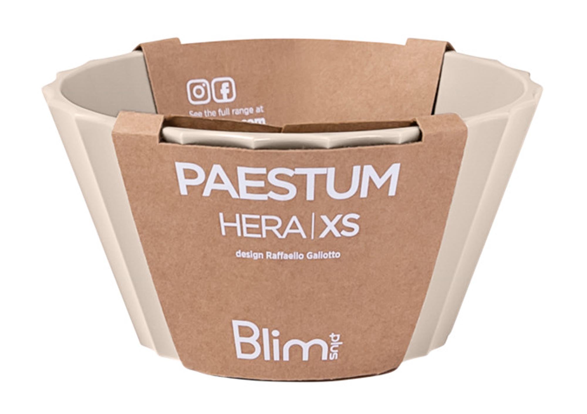 Kleine graue Schüssel Hera XS von BLIM PLUS, 11 cm Durchmesser, 6 cm hoch, stilvoll und praktisch für vielseitige Anwendungen.