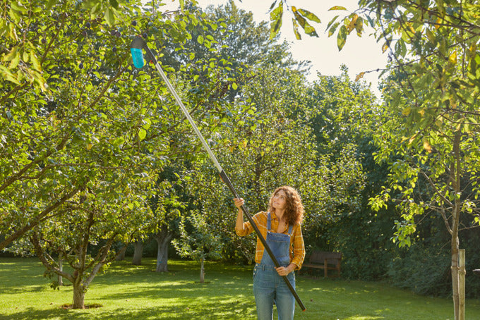 Effizientes Beerensammeln leicht gemacht: Der GARDENA Beerensammler mit ergonomischem Design und flexiblem Einsatz für jede Ernte.